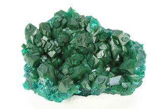 Lustrous Dioptase Crystal Epimorph - Republic of the Congo #312408