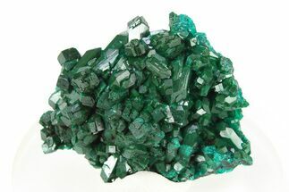 Lustrous Dioptase Crystal Epimorph - Republic of the Congo #312412