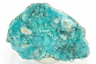 Sparkling Hemimorphite on Fibrous Blue Aurichalcite - Congo #312450