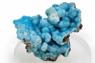 Sky-Blue Botryoidal Hemimorphite - Republic of the Congo #312442