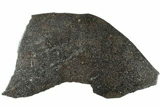 H- Chondrite Meteorite Slice - Dar el Kamal #312839