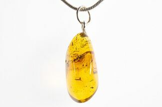 Polished Baltic Amber Pendant (Necklace) - Contains Insect! #312192