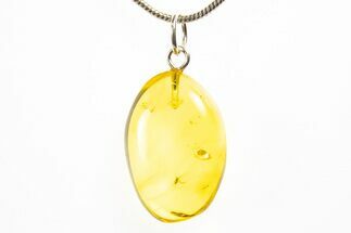 Polished Baltic Amber Pendant (Necklace) - Contains Fly! #312211