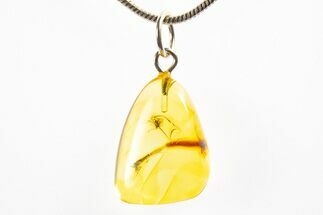 Polished Baltic Amber Pendant (Necklace) - Contains Flies! #312212