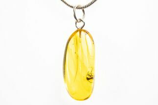 Polished Baltic Amber Pendant (Necklace) - Contains Ant! #312216