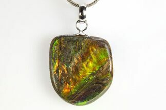 Brilliant Ammolite Pendant (Necklace) - Alberta, Canada #312487