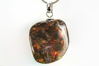 Brilliant Ammolite Pendant (Necklace) - Alberta, Canada #312491
