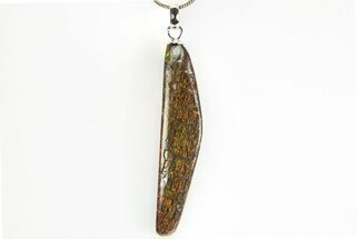 Brilliant Ammolite Pendant (Necklace) - Alberta, Canada #312495