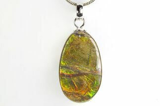 Brilliant Ammolite Pendant (Necklace) - Alberta, Canada #312499