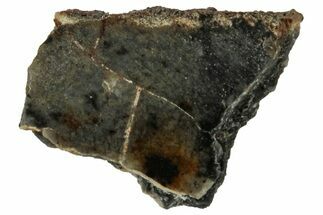 Lunar Meteorite Fragment ( g) - Bechar #313028