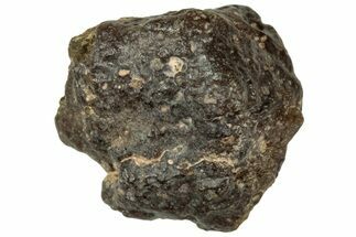 Abadla CM Chondrite Meteorite ( g) - Algeria #313036