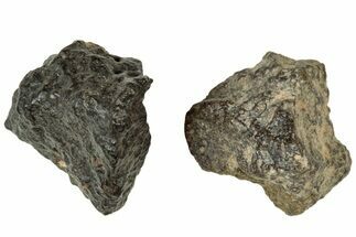 Abadla CM Chondrite Meteorite ( g) - Algeria #313039