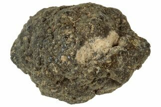 Abadla CM Chondrite Meteorite ( g) - Algeria #313051