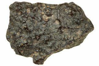 Abadla CM Chondrite Meteorite ( g) - Algeria #313052