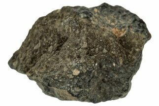 Abadla CM Chondrite Meteorite ( g) - Algeria #313057