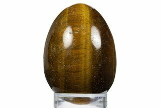 Polished Tiger's Eye Egg - South Africa #312693