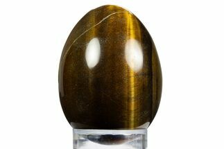 Polished Tiger's Eye Egg - South Africa #312694