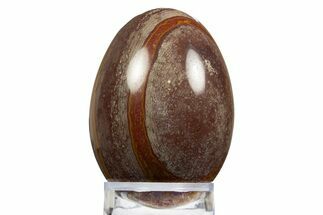 Polished Picture Stone Egg - Arizona #312728