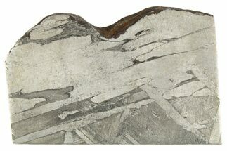 Etched Seymchan Meteorite Slice ( g) - Russia #313180