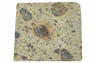 Diogenite Meteorites For Sale