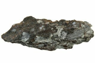 Laayoune 002 Meteorites For Sale