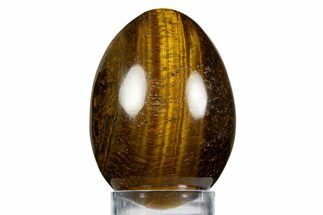 Polished Tiger's Eye Egg - South Africa #312674