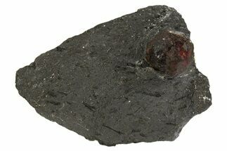 Red Embers Garnet in Graphite - Massachusetts #313417