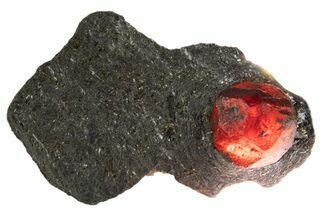 Red Embers Garnet in Graphite - Massachusetts #313430