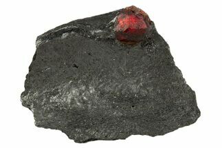 Red Embers Garnet in Graphite - Massachusetts #313441