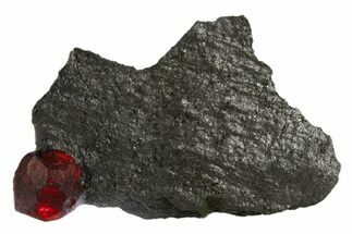 Red Embers Garnet in Graphite - Massachusetts #313444