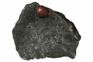 Red Embers Garnet in Graphite - Massachusetts #313449