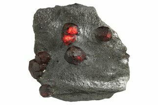 Plate of Eight Red Embers Garnets in Graphite - Massachusetts #313529