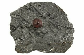 Red Embers Garnet in Graphite - Massachusetts #313534