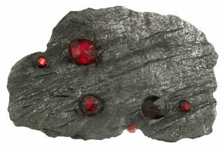 Plate of Six Red Embers Garnets in Graphite - Massachusetts #313663