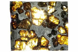 Polished Imilac Pallasite Meteorite () Slice #313650