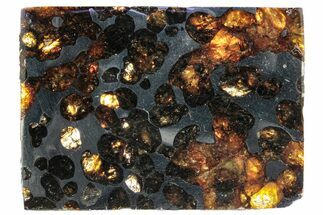 Polished Sericho Pallasite Meteorite ( g) Slice - Kenya #313665