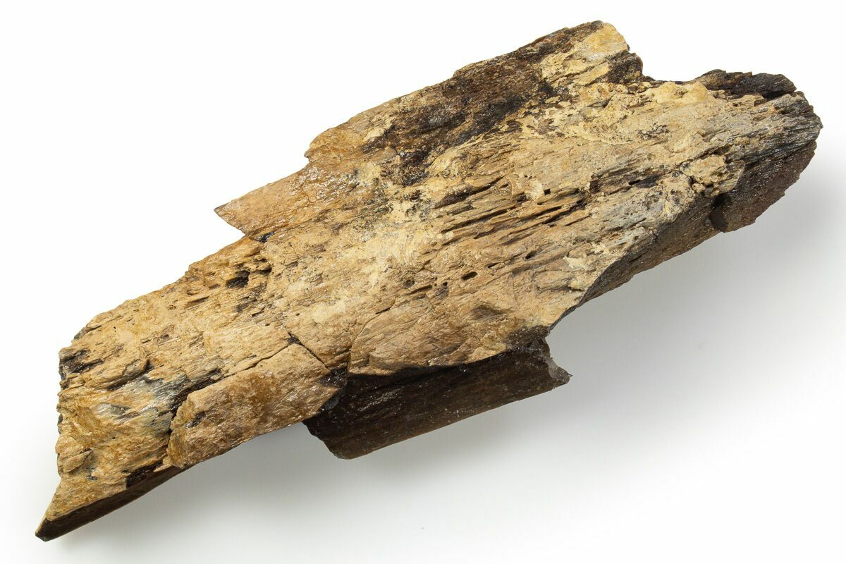 Rex Bone 5.75