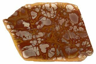 Polished Noreena Jasper Slab - Australia #314233