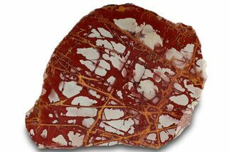 Polished Noreena Jasper Section - Australia #314252