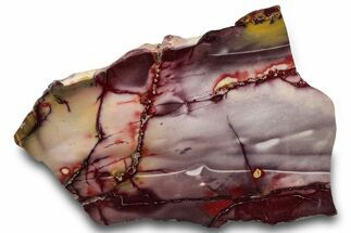 Vibrant Polished Mookaite Jasper Slab - Australia #314277