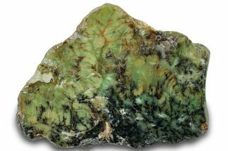 Polished Green-White Opal Section - Western Australia #314343