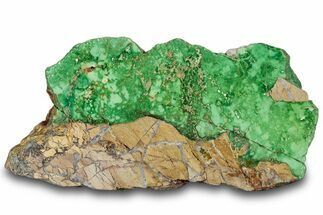 Free-Standing, Polished Variscite Section - Australia #314392