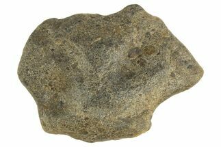 Lunar Meteorite ( g) - Laayoune #313149