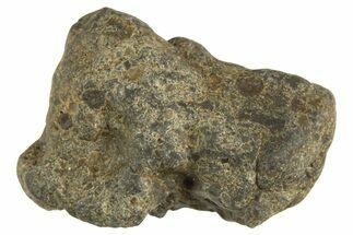 Lunar Meteorite ( g) - Laayoune #313150