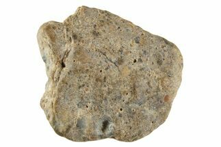 Lunar Meteorite ( g) - Laayoune #313166