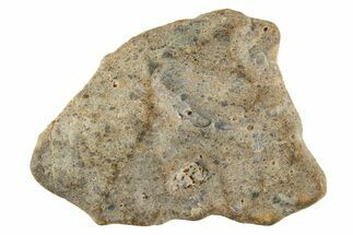 Lunar Meteorite ( g) - Laayoune #313170