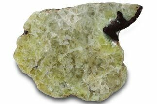 Wide Polished Prehnite Section - Australia #314453