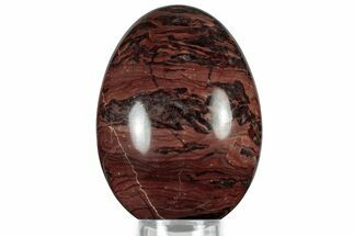 Polished Kona Dolomite (Stromatolite) Egg - Michigan #314486