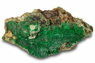 Striking Green Conichalcite Formation - Utah #314507