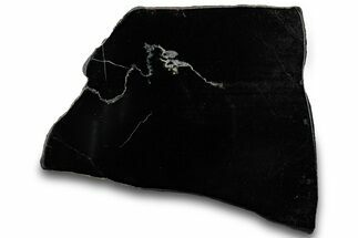 Polished Black Jade (Actinolite) Section - Western Australia #314582